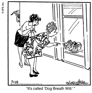 marmaduke